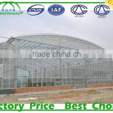 Commercial Industrial Greenhouse for Sale photo-5