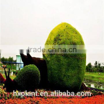 Small Sculpture Aritificial Green Sculpture Plastic Fake Plant Artificial Sculpture Artificial Statue photo-2