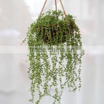 Artificial Grass for Decoration,for Hanging Grass Basket Decoration photo-3