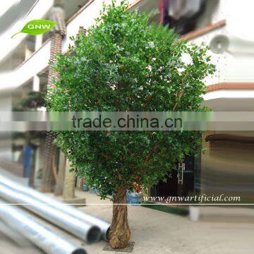 BTR036 GNW mini decorative plants artificial banyan tree for garden decoration