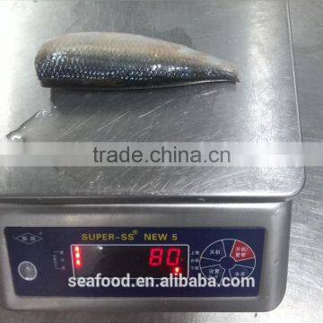 Frozen Sardine (sardinella Longiceps) ,New Arrivals photo-6