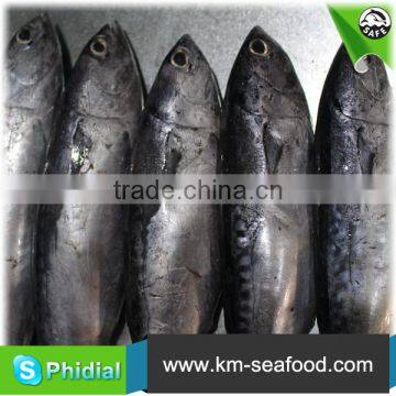 Carton or Woven Bag Packed Without Faure Marin Iced Bonito photo-2