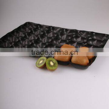 Chinese Gold Manufacturers Plastic Fruit Tray With Cells photo-2