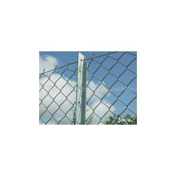 Chain Link Fence| Shandong Accuz Metal Products Co., Ltd.