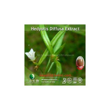 Hedyotis diffusa Extract