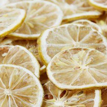 Lemon Slice Drying Machine photo-5