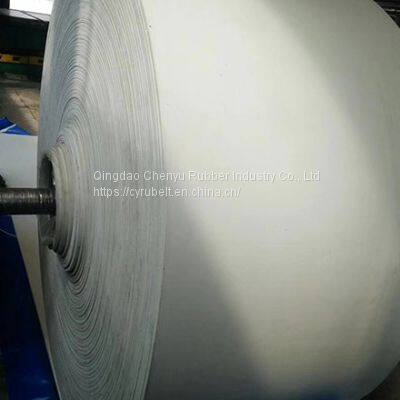 Food Grade White Conveyor Belt