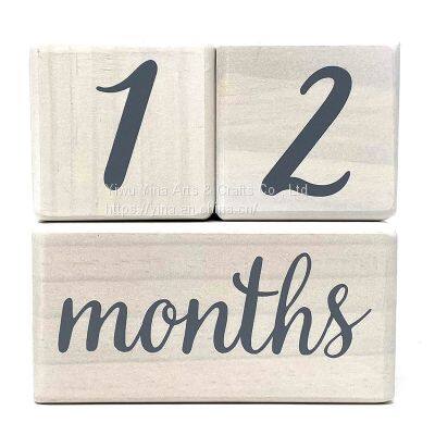 Wood Milestone Age Blocks, Baby Age Photo Blocks Baby Shower Gift and Keepsake photo-3