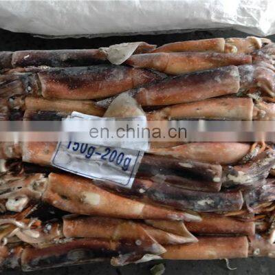 China Factory Whole Round Argentina Illex Squid Frozen Illex Squid 100-150 150-200 200-300 photo-5