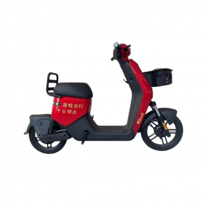 Sharing electric bike management system software customized technology software service