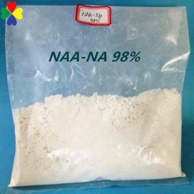 Auxin Activity Chemical Naa 1-Naphthylacetic Acid 98%TC photo-3