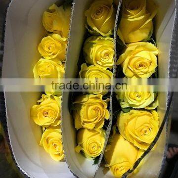 Top Quality Most Popular Gold Plated Gift Rose photo-5