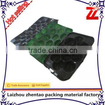 Hot Selling Cheap PET / PP / PS / PVC Plastic Fruit Tray