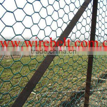 hexagonal wire netting