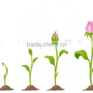 3d Rendering Software photo-6