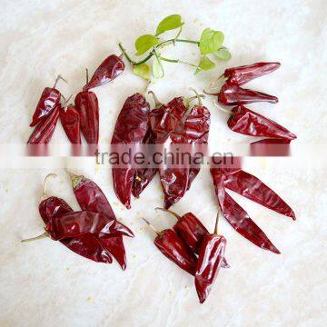 Sweet chili Peppers