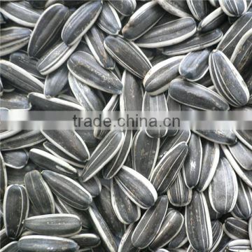 5009 sunflower seeds/sunflower seeds in shell