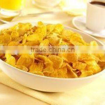 Hot Sale Corn Flakes Machinery/Processing Line photo-5
