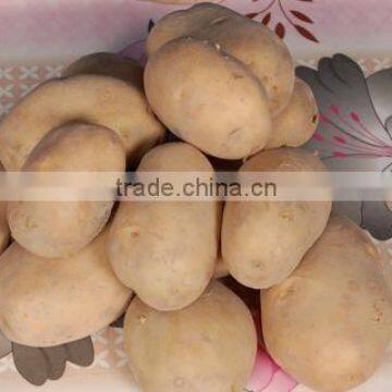 Fresh Potatoes