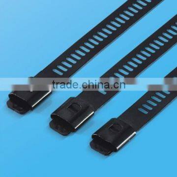 China 316 Steel Multi Barb Lock Type Stainless Steel Cable Ties