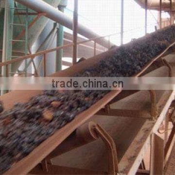 Chemical resistant conveyor belt