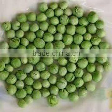 Dried Green Peas (hot Sale )