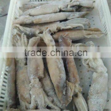 Illex Squid W/R photo-4