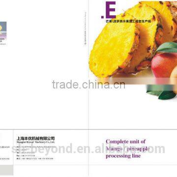 Complete Mango Fruit Processing Line