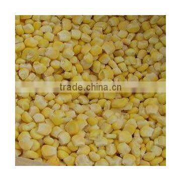 Maize Corn