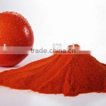 100% natural Lycopene Extract tomato extract powder