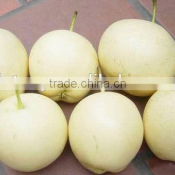 Nice and high quality emerald pear from china