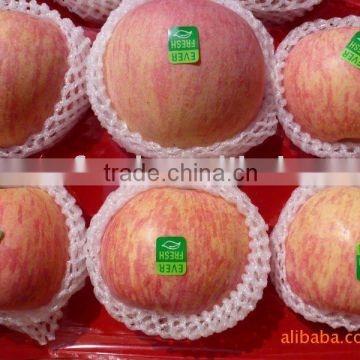 chinese sweet apple