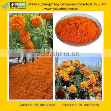 Lutein 5% 10% 20% 40% 80% 90% from GMP manufacturer