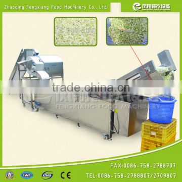 cabbage dicing and washing production line, vegetable cutter and washer line machine, Mob/Whatsapp: +86 18281862307(May Liao)