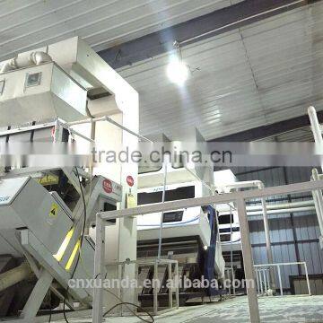 Edible Red Water Melon Seeds Big Size photo-4