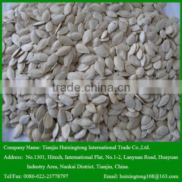 China Shine Skin Pumpkin Seeds with Great Taste For Sale