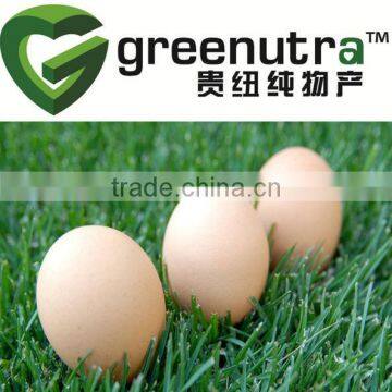 egg albumin powder