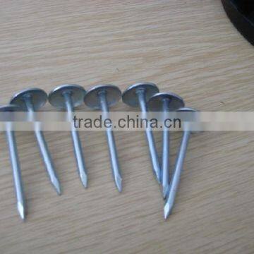 Black Roofing Nail photo-3