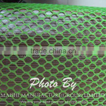 Hexagonal Shape Grass Protection Mesh photo-5