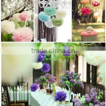 Wholesale Tissue Paper Pom Poms Flower Ball