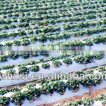 Film product line:SJ mulching film blown machine set