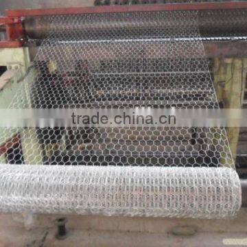 Competitive Price for Hexagonal Wire Mesh photo-5