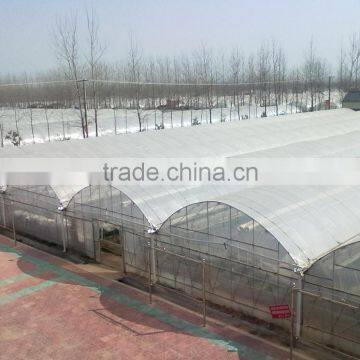 Plastic greenhouse for sale/ big greenhouse manufacturer in China