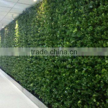 2014 new design! expanded clay pellets for artificial living wall