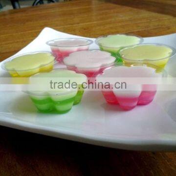 Food Grade BPA Free Clear Plastic Jelly Mold Cups Jelly Mould Party photo-3