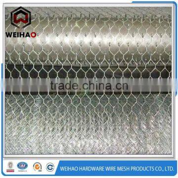 2016 China Galvanized Hexagonal Wire Mesh photo-5
