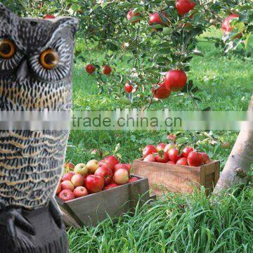 Smart Dark Bird Repellent Flash Eyes