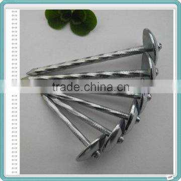 umbrella head roofing nails from alibaba china supplier