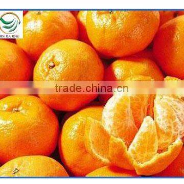 2016 New automat fresh Mandarin orange