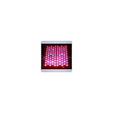 High efficiency Hydroponics & Horticulture &greenhouse 800W-3GP led grow lights